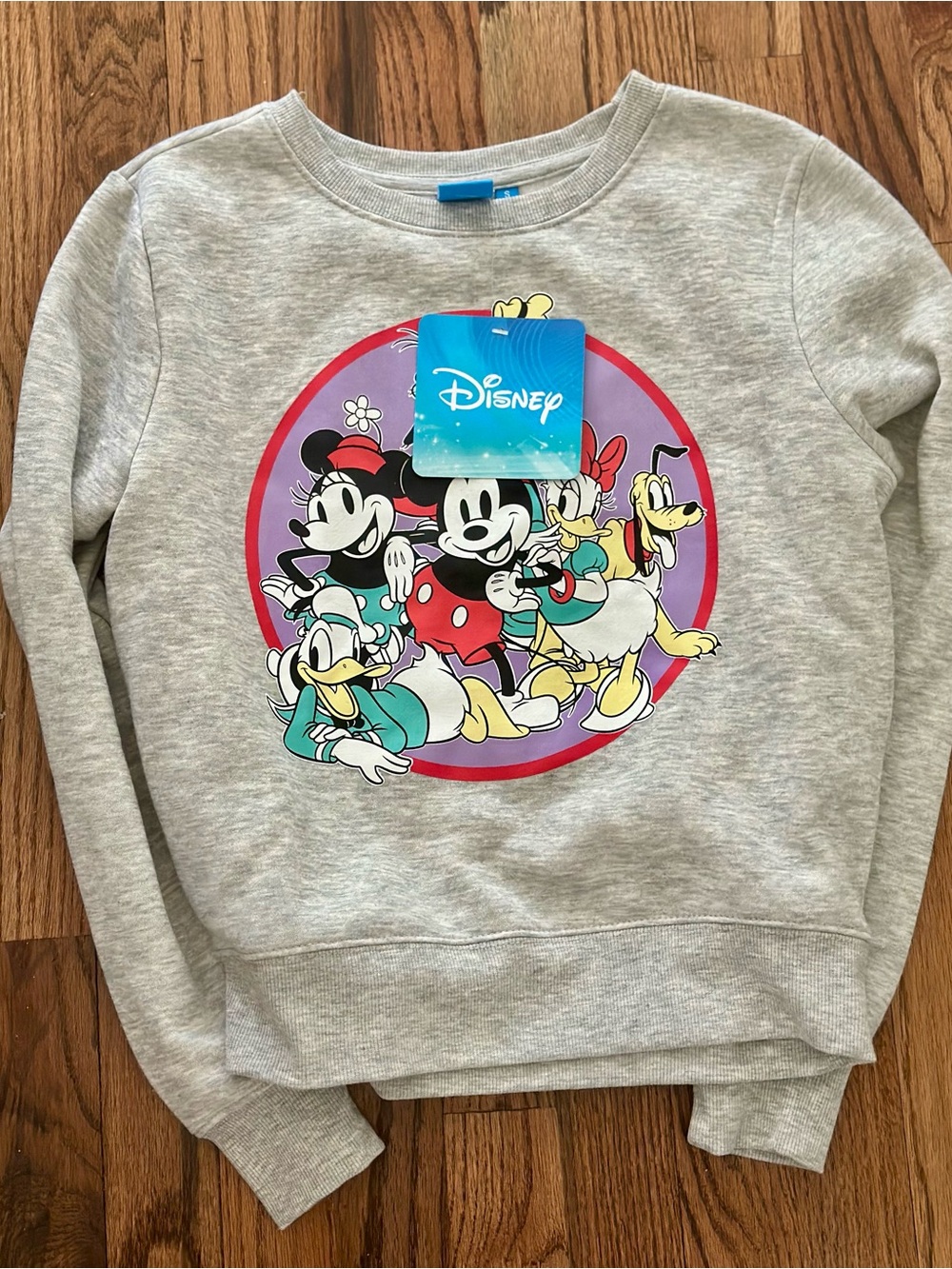 Disney Friends Gray Sweatshirt – Mickey, Minnie, Daisy & Pluto🐭